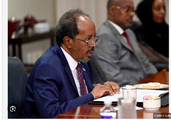 Somali police arrest TikTokers over video mocking president