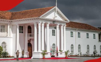 Kenyan police officer killed in arrow attack outside State House