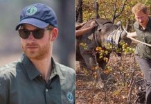 Chad Ends Partnership With Prince Harry–Linked Conservation Group Over Poaching Concerns