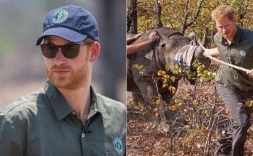 Chad Ends Partnership With Prince Harry–Linked Conservation Group Over Poaching Concerns