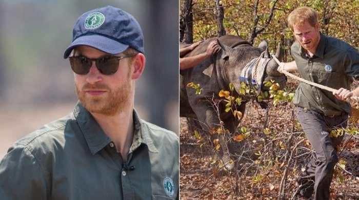 Chad Ends Partnership With Prince Harry–Linked Conservation Group Over Poaching Concerns