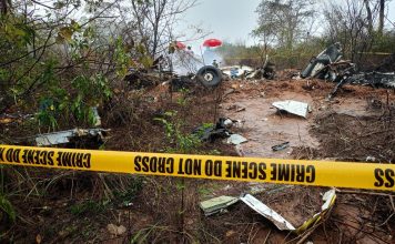 Ten European tourists, pilot killed in Kenya plane crash