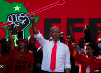 South Africa’s Julius Malema Convicted Over Illegal Gun Possession and Firing in Public
