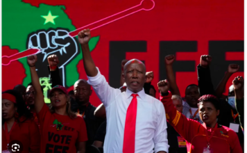 South Africa’s Julius Malema Convicted Over Illegal Gun Possession and Firing in Public