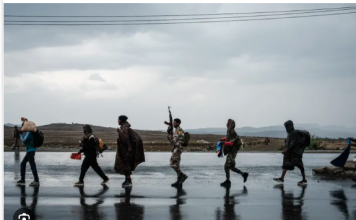 Ethiopia Accuses Eritrea of Plotting War Amid Rising Tensions Over Red Sea Access