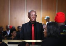 EFF leader Julius Malema faces five-year jail term