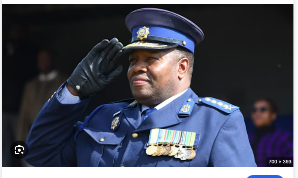 South Africa Police Chief Charged Over Controversial Health Tender