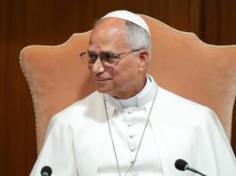 Pope Leo urges world leaders to curb dangers posed by artificial intelligence