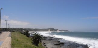 South Africa: 65-Year-Old Woman Dies in Shark Attack at Eastern Cape Beach